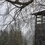 Casa Roberta Falcade