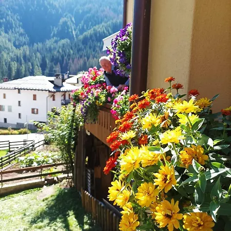 Casa Roberta Falcade