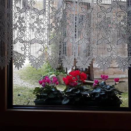 Casa Roberta