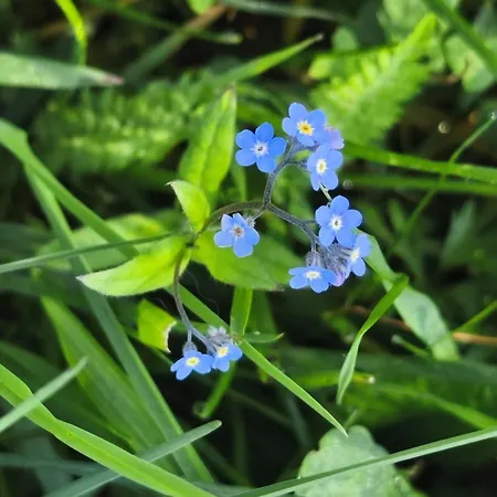 Apartamento Casa Roberta *