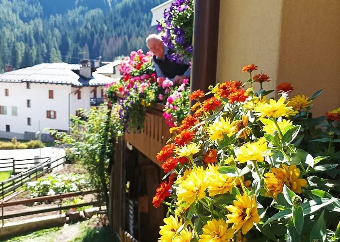 Casa Roberta Falcade