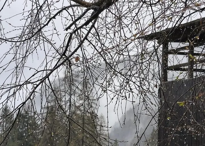 Casa Roberta Falcade