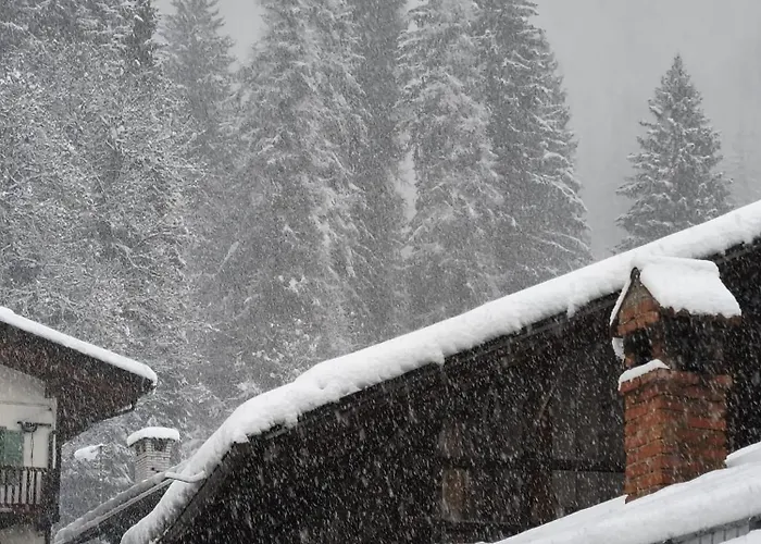 Apartment Casa Roberta Falcade